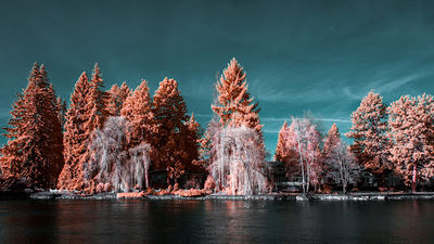 Pioneer Park
