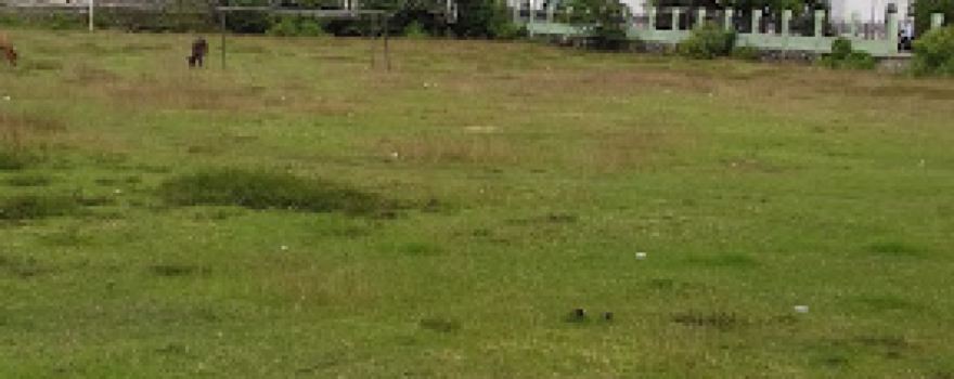 Lapangan Bola Kaki Teupin Raya