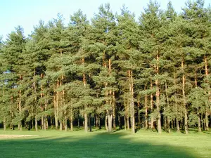 Kalyumet Campground