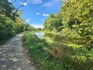 McKinley Woods