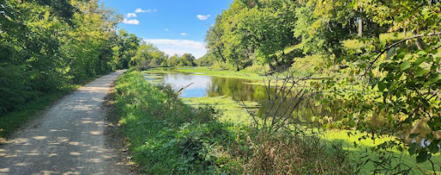 McKinley Woods