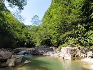 Kheyrud Gorge