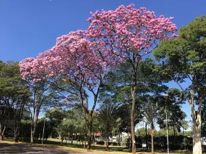 Parque Fernando Costa
