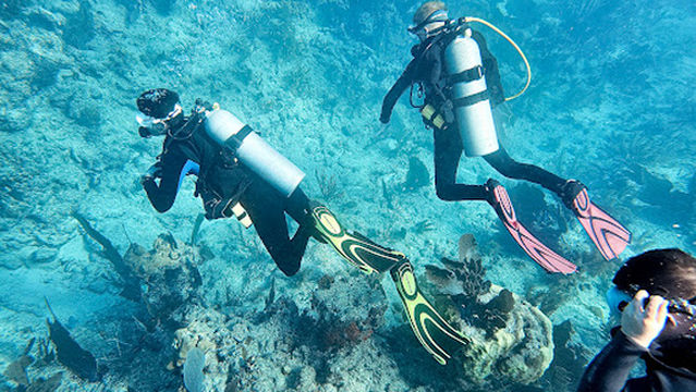 Lost Reef Adventures