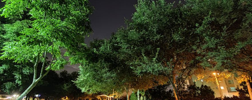 Reisfeld Park