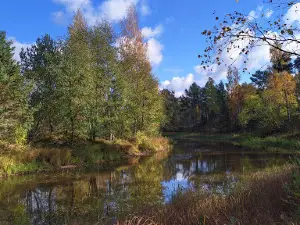 Alajõe rand