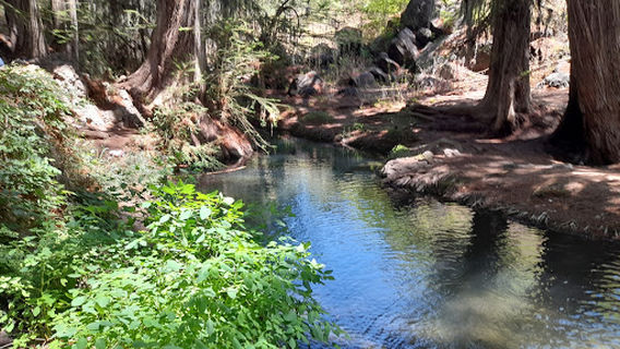 La Barranca De San Quintín