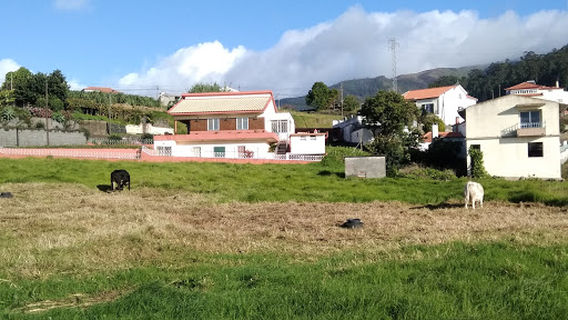 Municipal Field of Ponta do Sol