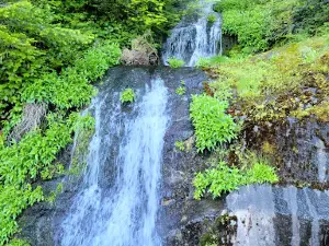 Marys Peak Day Use