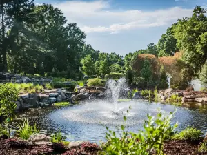 Village Park