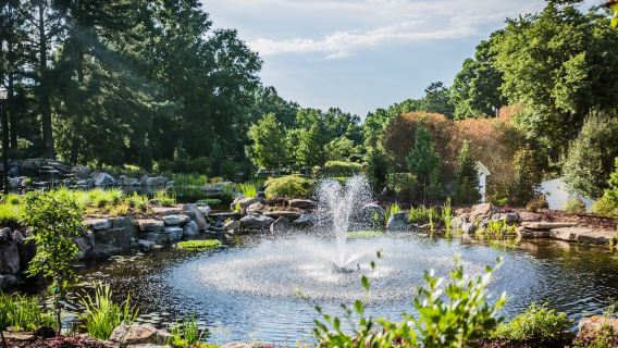 Village Park