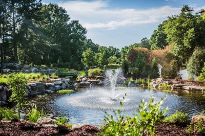Village Park