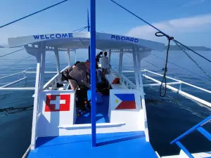 Bubble Divers package tour services
