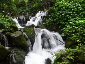Mookambika Wildlife Sanctuary - Kodachadri