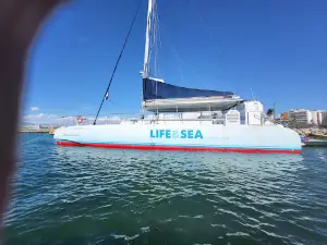 LIFEANDSEA