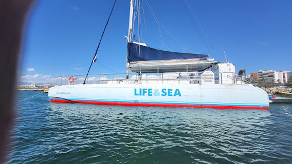 LIFEANDSEA