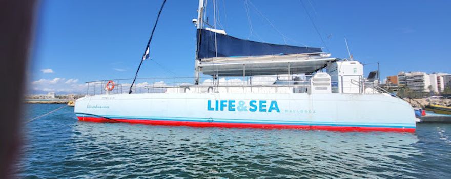 LIFEANDSEA