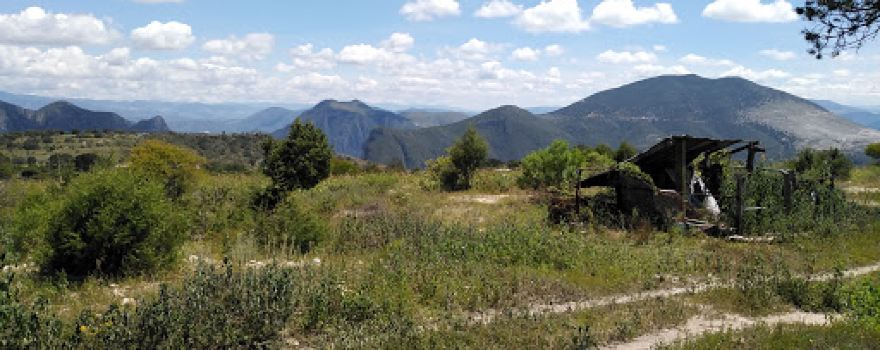 La Mesa ,Cardonal,Hidalgo