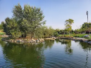 Mashhad Garden