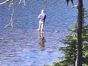 Natursafari i Abborrträsk