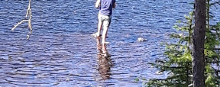 Natursafari i Abborrträsk