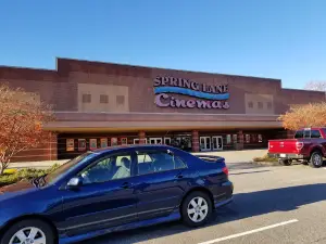 Spring Lane Cinemas