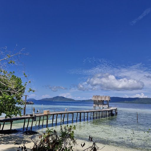 Arborek Dive Shop