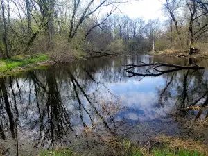 St. Catherine's Trout Ponds