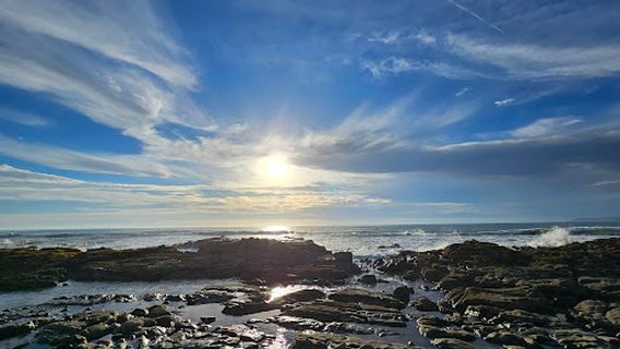 North Point Natural Area