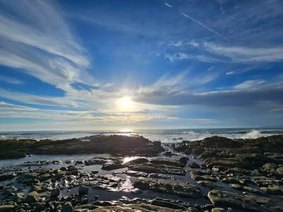North Point Natural Area