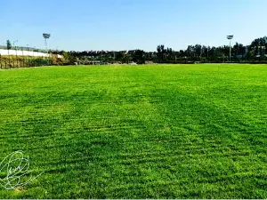 Mohamed Hamlaoui Stadium