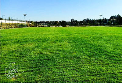 Mohamed Hamlaoui Stadium