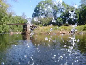 Rio da Prata - Augusto de Lima