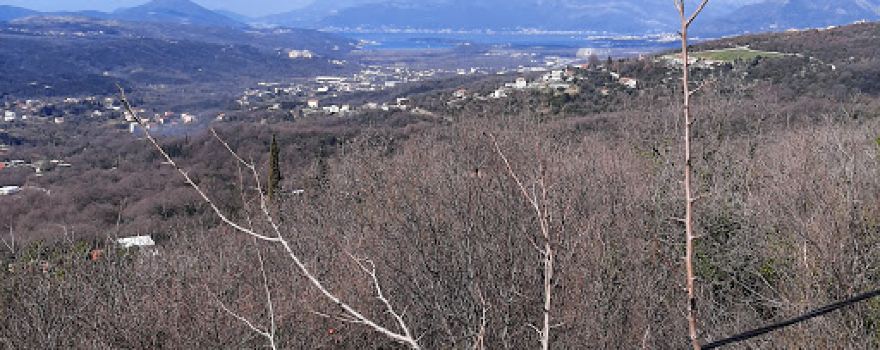 K.O. PRIJERADI