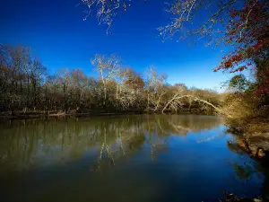 McClelland Park