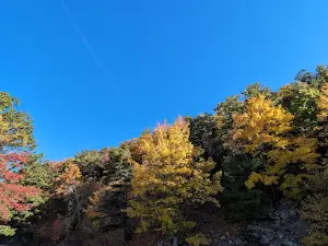 20-Minute Cliff Overlook