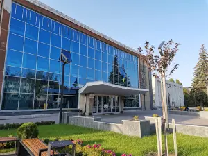 City Palace of Culture (named after Vyacheslav Radchenko)