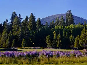 Black Butte Ranch - Glaze Meadow Golf Course Closed for the Season