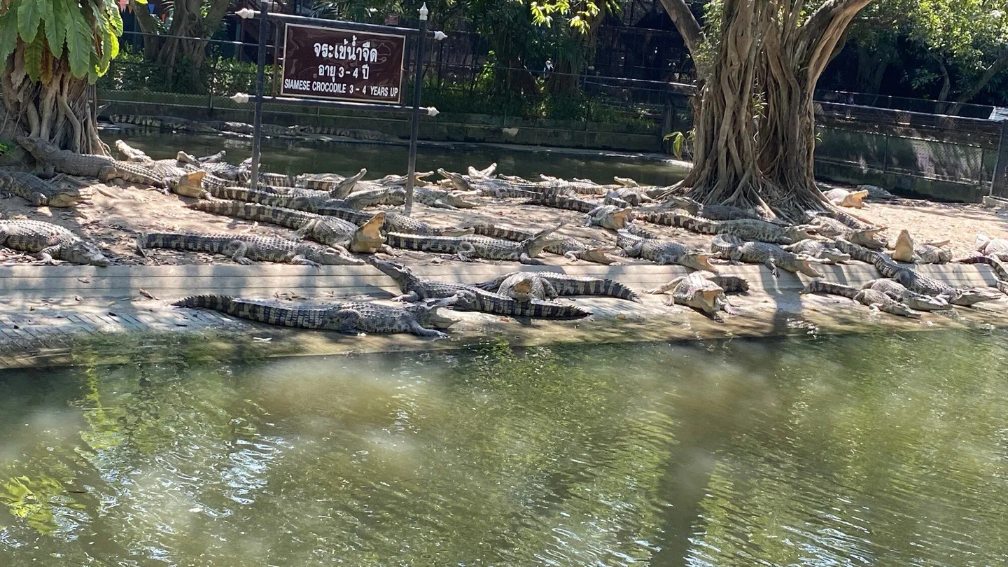 4_Samphran Elephant Ground And Zoo