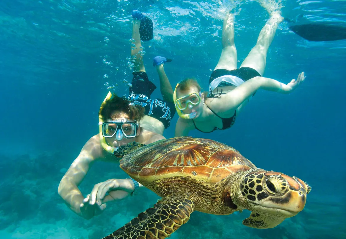 3_Great Adventures Cruises- Cairns