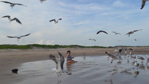 Sylvan Beach Park