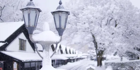 山居倉庫