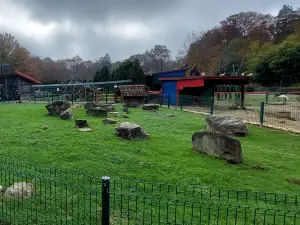 Živalski vrt Sikalu ZOO