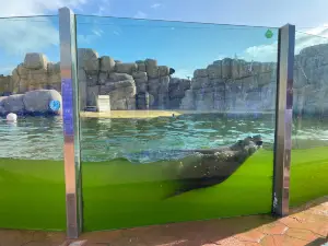 SeaQuarium Rhyl