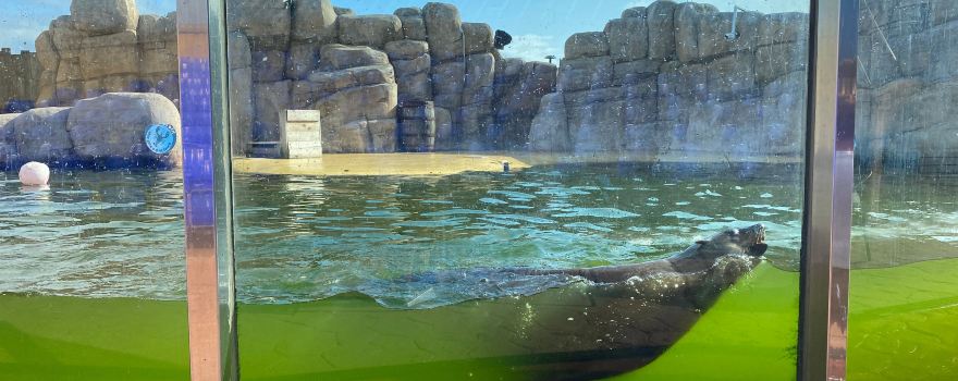 SeaQuarium Rhyl
