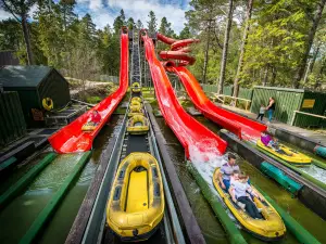 Landmark Forest Adventure Park
