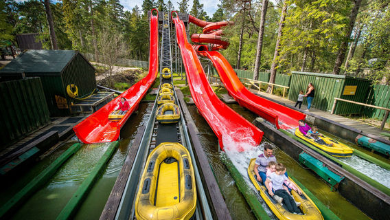 Landmark Forest Adventure Park