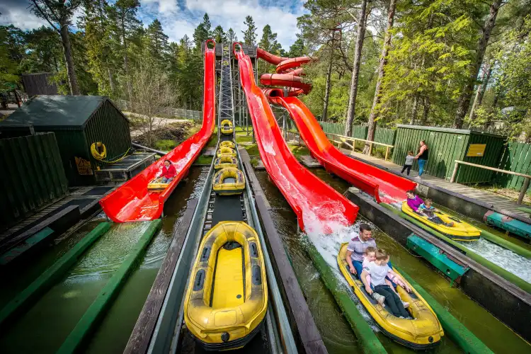 Hotels in der Nähe von Landmark Forest Adventure Park