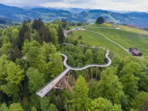 Baumwipfelpfad Neckertal