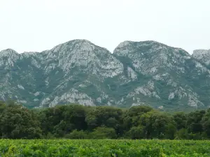 알삘르 자연공원